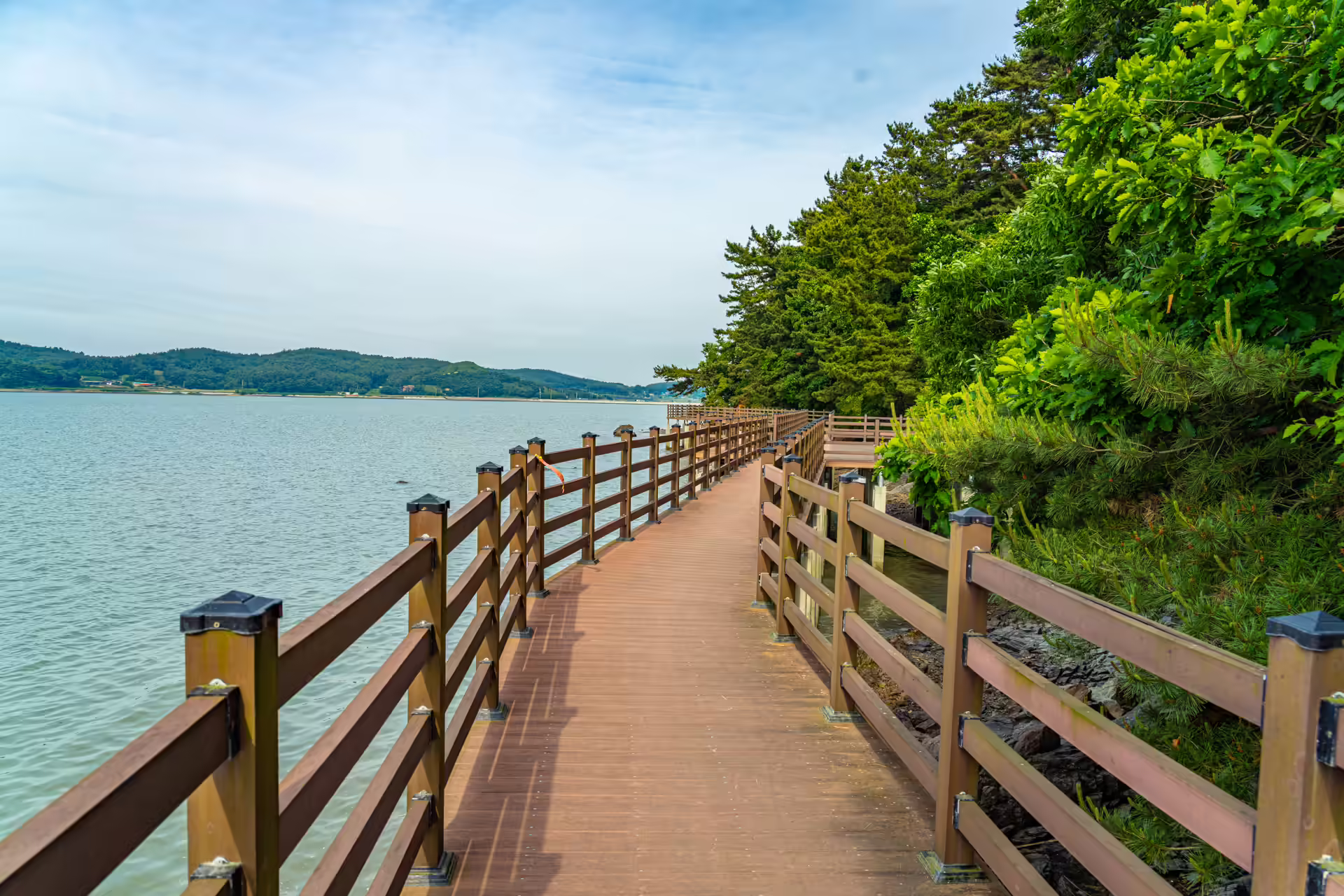 숲 비탈 아래 물가를 따라 이어지는 나무 난간 데크