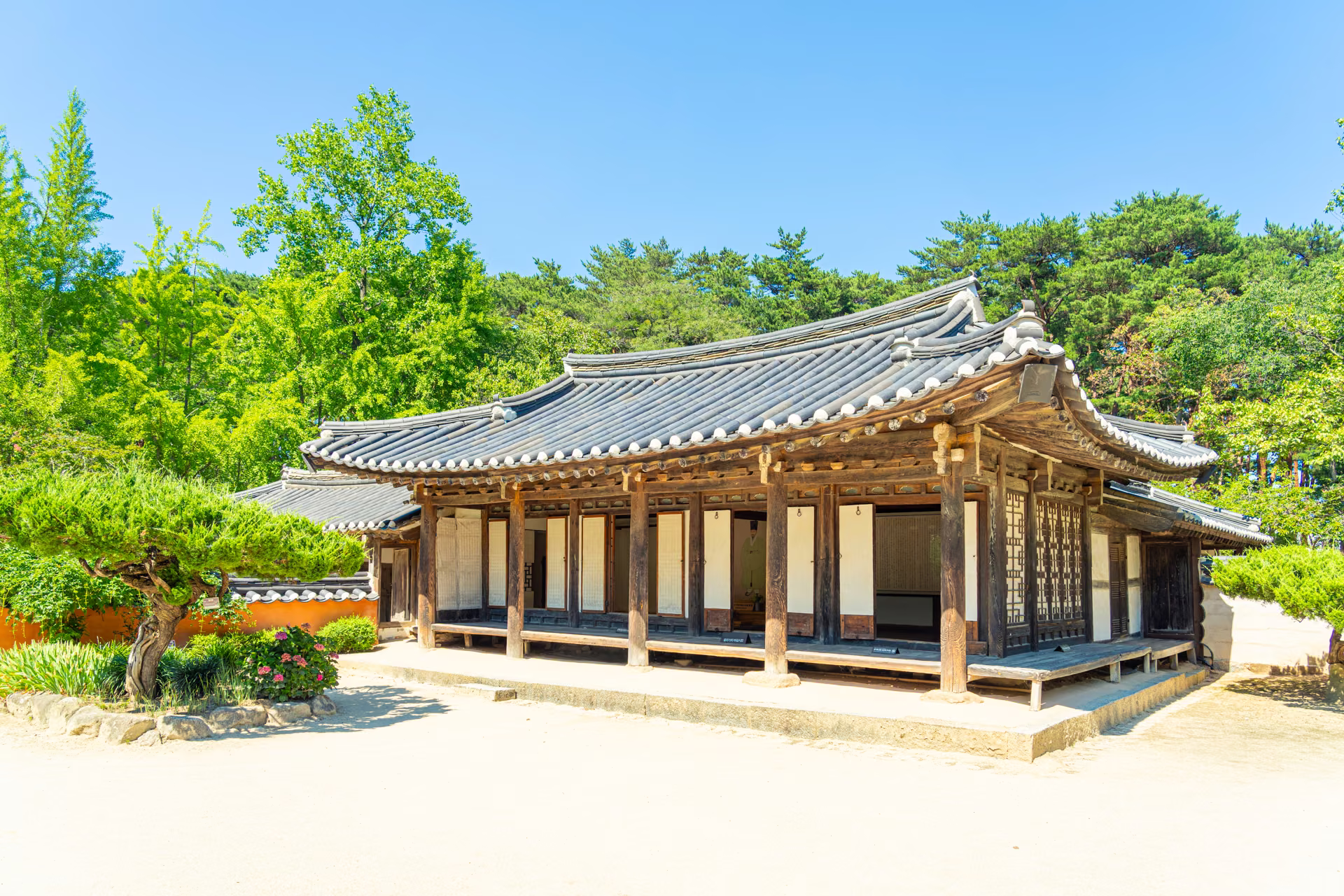 솔숲 안의 초당동 고택. 앞면을 따라 툇마루가 길게 이어진다