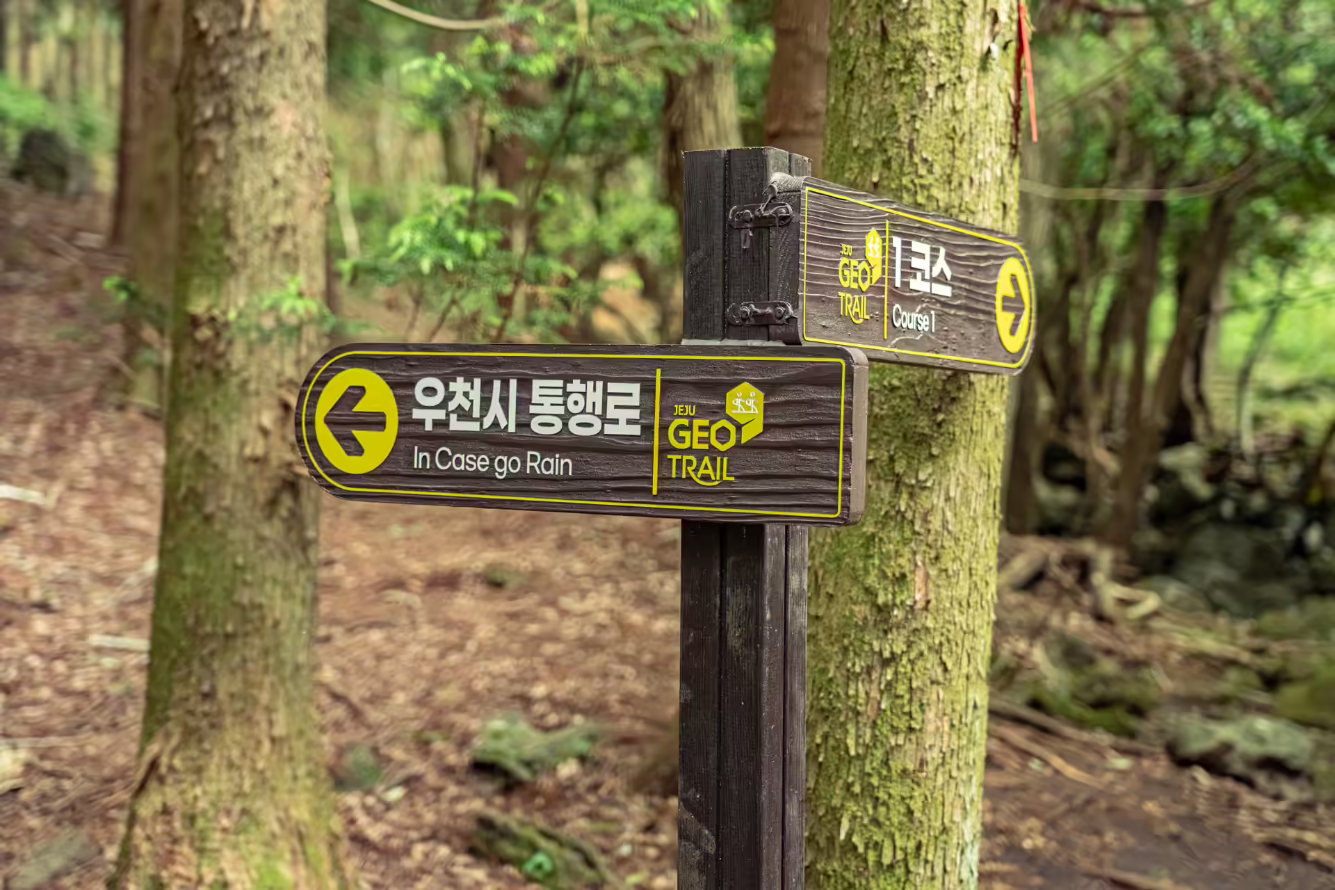 지오트레일 표시와 우천 시 경로 화살표가 붙은 삼다수숲길 이정표