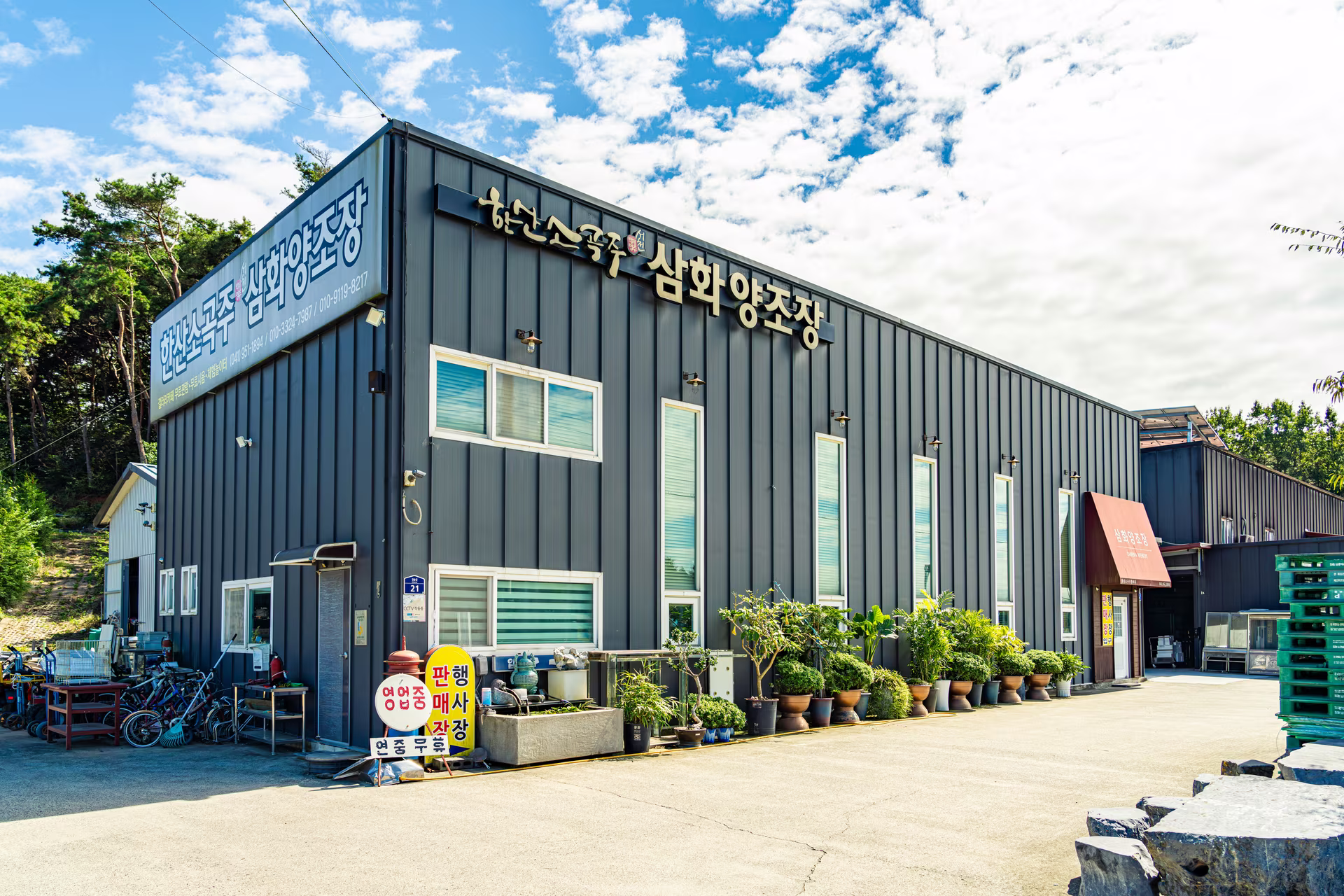한산면 양조장에서 찹쌀과 누룩으로 빚어 100일간 숙성한 한산소곡주