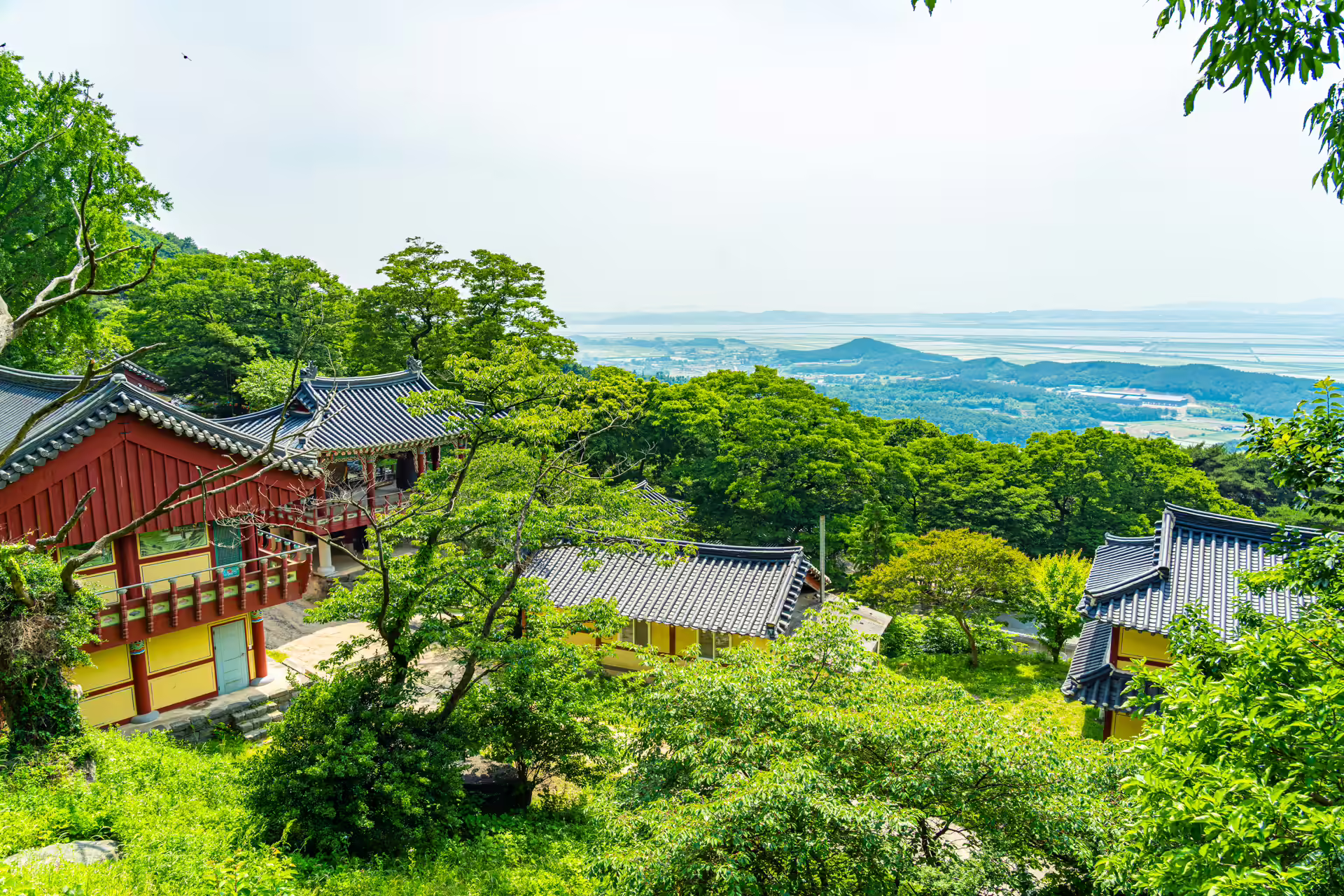 푸른 나무 사이 부석사 전각과 멀리 보이는 들판과 바다